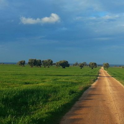 Trekking nel Parco delle Dune Costiere, tra masserie, ulivi e megaliti.