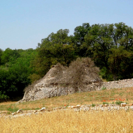 Alle radici dei trulli